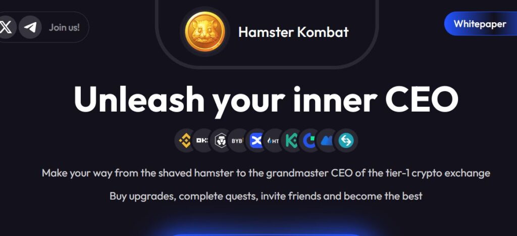 hamster kombat se paise kaise kamaye